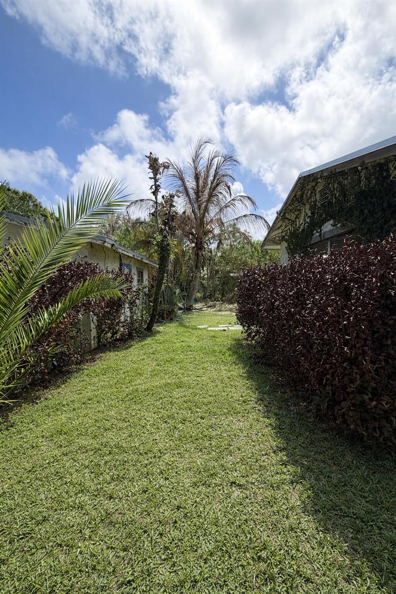 A grassy path leads between two buildings lined with dark hedges and palm trees — 5512 Buchanan Drive, Fort Pierce FL 34982, FORT PIERCE, FL