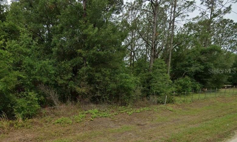 A view of a densely wooded, undeveloped lot with a wire fence along the edge — 9284 W DUNNELLON ROAD, CRYSTAL RIVER, FL