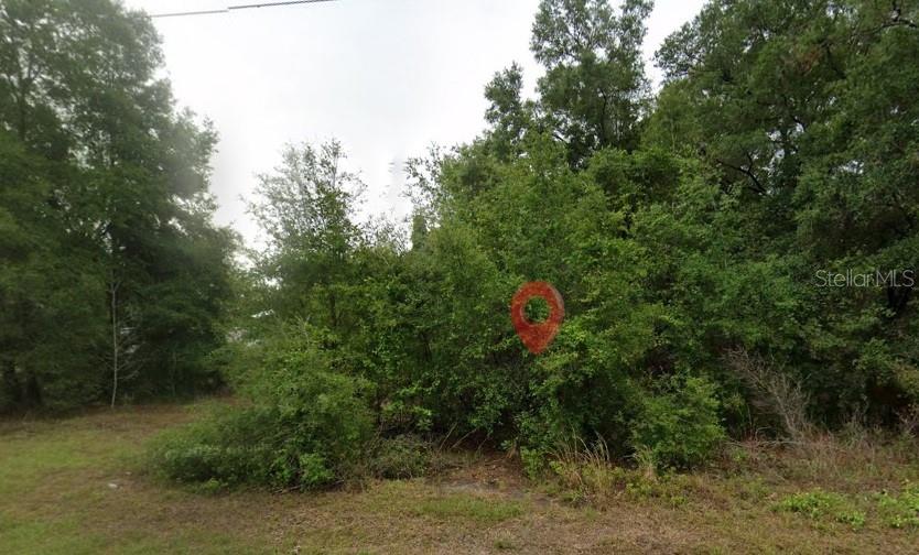 A vacant, wooded lot with dense green trees and shrubs under an overcast sky — 9284 W DUNNELLON ROAD, CRYSTAL RIVER, FL