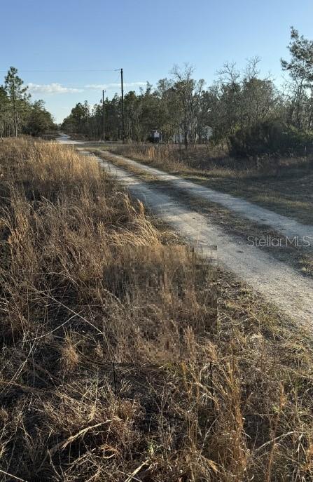 A dirt road leads through a grassy field toward a line of trees — 0 NE 151ST AVENUE, WILLISTON, FL