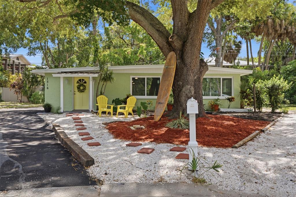 A light green house features a surfboard leaning against a large tree in the yard — 1516 ADELE PLACE, LARGO, FL