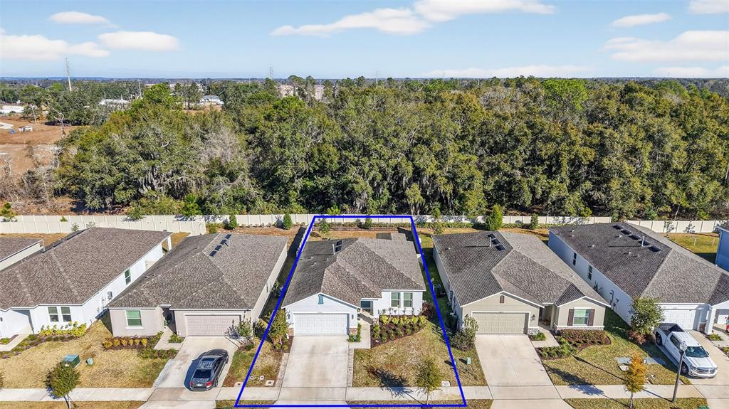 An aerial view shows a suburban house with a gray roof and a concrete driveway — 33692 SKY BLOSSOM CIRCLE, LEESBURG, FL