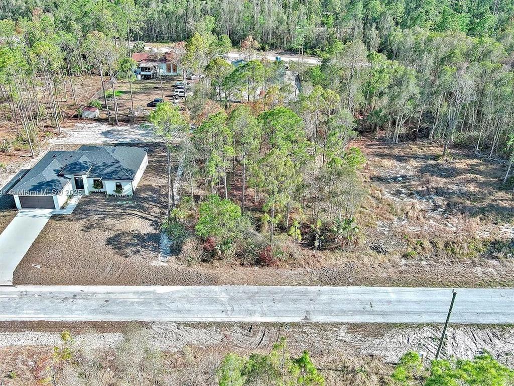 An aerial view shows a single-story house next to a wooded, undeveloped lot — 634 LADD STREET, LEHIGH ACRES, FL