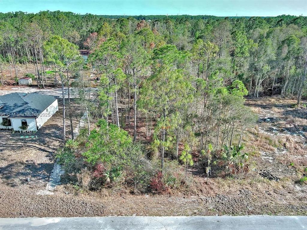 An aerial view shows a wooded lot next to a house and a paved road — 634 LADD STREET, LEHIGH ACRES, FL