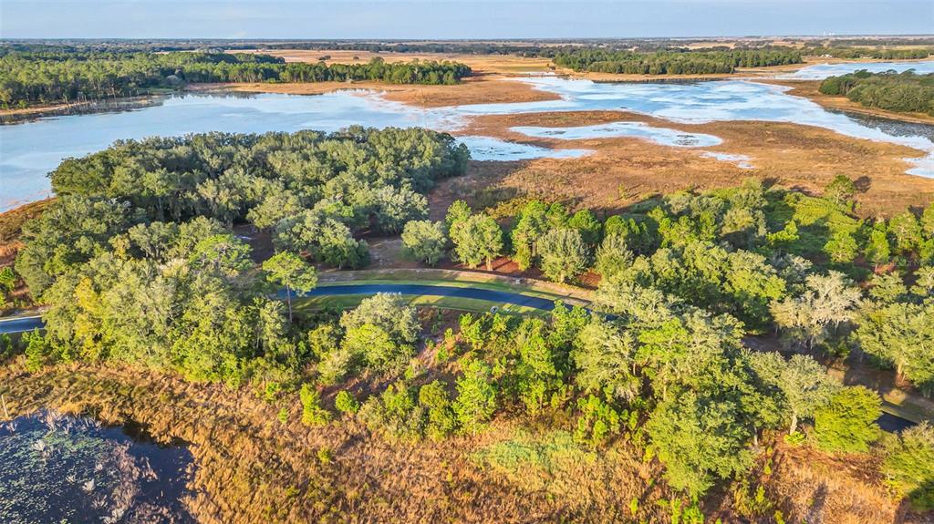 An aerial view shows a paved road winding through a wooded area near a large lake — 3106 BRIGHT LAKE CIRCLE, GROVELAND, FL