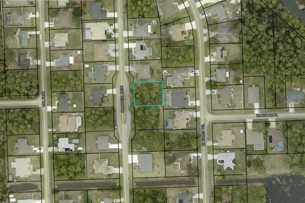 This is an aerial map showing a vacant residential lot highlighted in blue — 25 ULMACEAL PATH, PALM COAST, FL