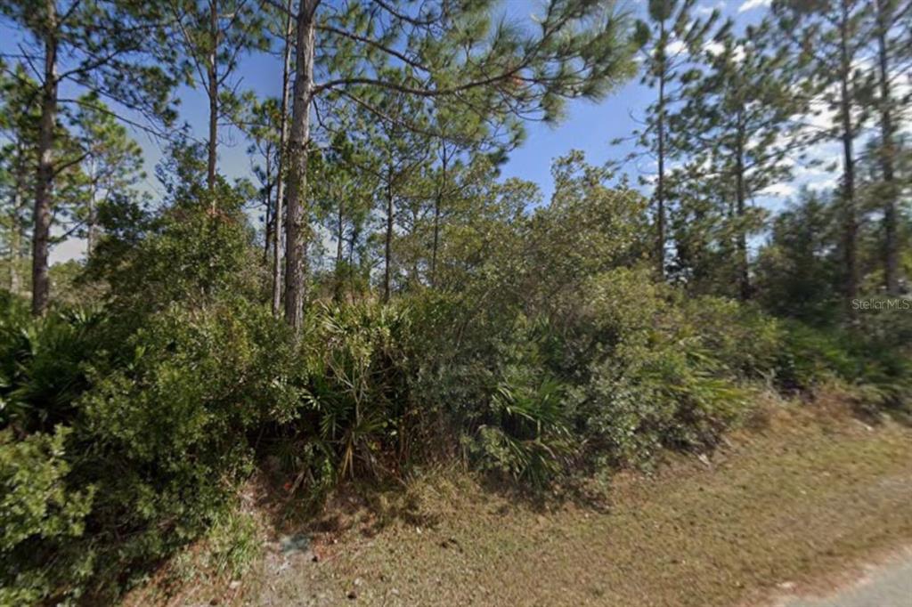 A wooded, undeveloped lot with pine trees and dense underbrush along a grassy roadside — 25 ULMACEAL PATH, PALM COAST, FL