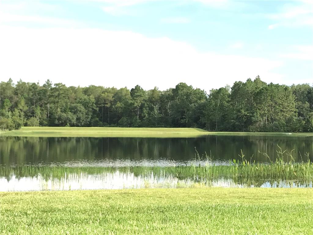 A calm lake sits in front of a dense forest under a bright, partly cloudy sky — 1702 CYPRESS RIDGE DRIVE, ORLANDO, FL