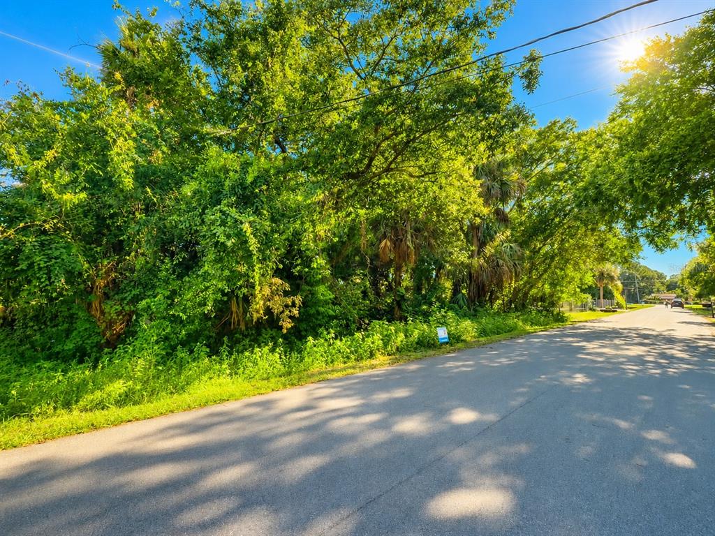 A paved road runs alongside a densely wooded, undeveloped lot under a bright sunny sky — 4095 CANAVERAL GROVES BOULEVARD, COCOA, FL