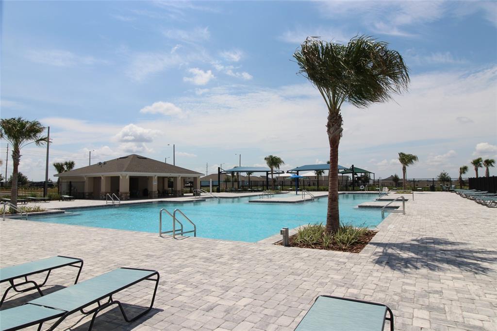 A swimming pool with lounge chairs and a palm tree on a paved deck — 2518 MARIAH PLACE, LAKE ALFRED, FL