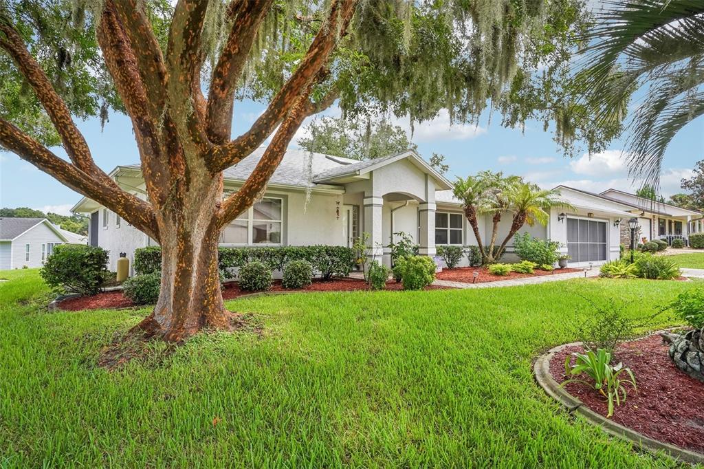 A single-story house with a large tree in the front yard and a paved walkway — 6407 TILDON COURT, LEESBURG, FL