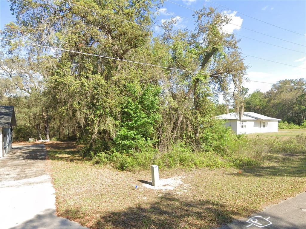 A vacant, wooded residential lot sits between a paved driveway and a white house — SE 178TH AVENUE, SILVER SPRINGS, FL