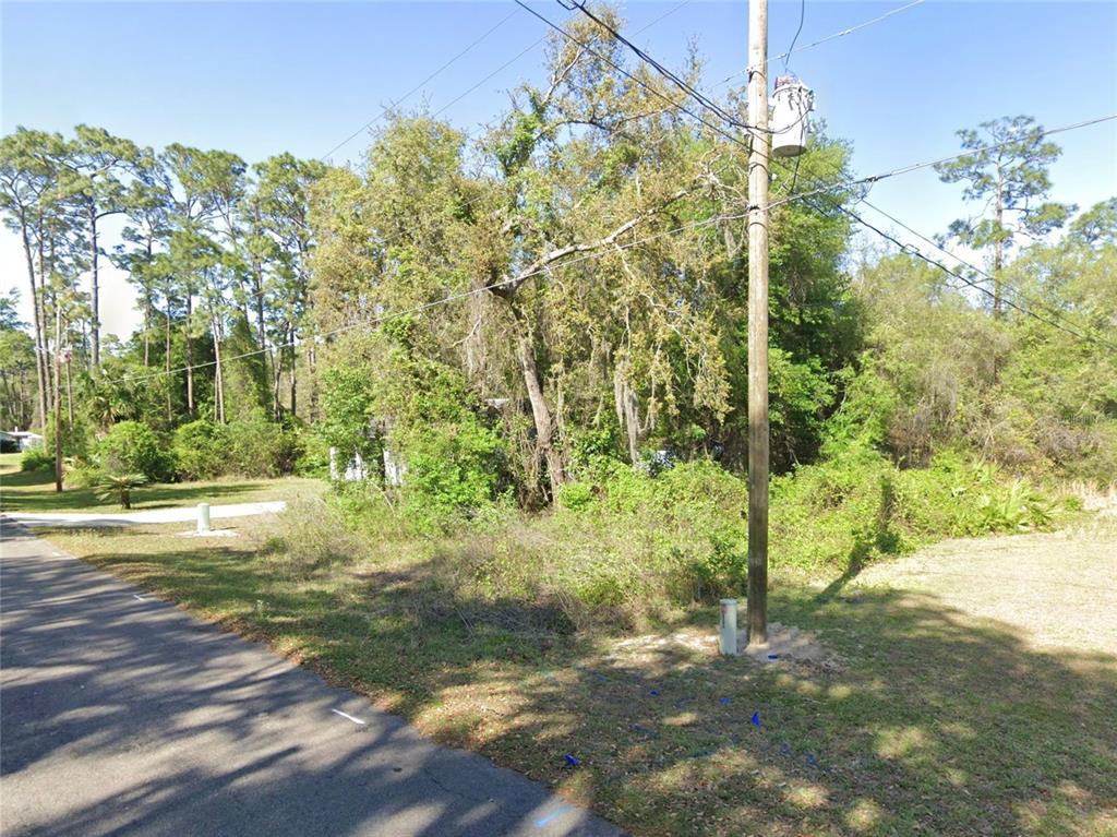 A utility pole stands beside a paved road bordering a wooded, overgrown residential lot — SE 178TH AVENUE, SILVER SPRINGS, FL
