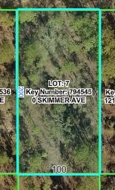 This is a map showing the rectangular property boundaries of a vacant, wooded lot — 12092 SKIMMER AVENUE, WEEKI WACHEE, FL
