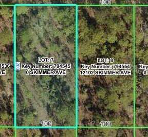 This is a satellite map showing two adjacent rectangular lots of land with trees — 12092 SKIMMER AVENUE, WEEKI WACHEE, FL