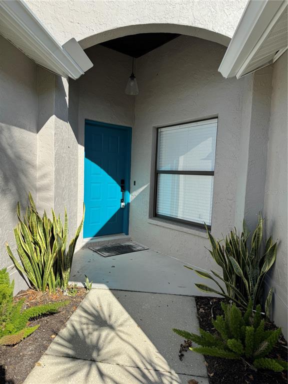 The exterior entryway features a bright blue front door, a window, and potted snake plants — 3709 62ND AVENUE E, BRADENTON, FL