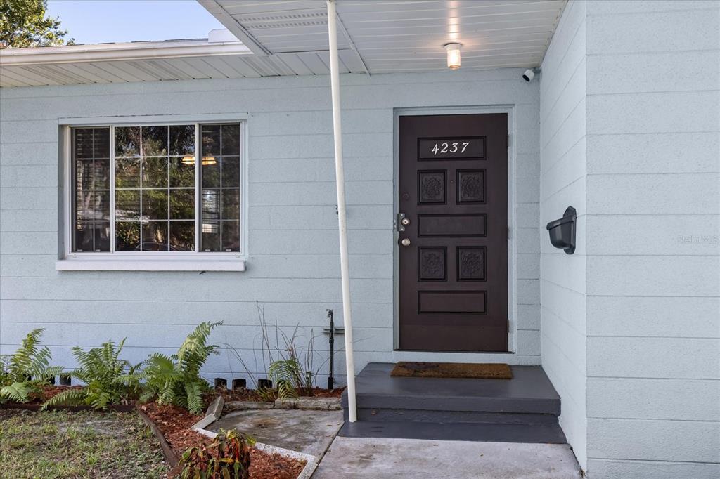 A light blue house exterior features a dark brown front door and a large window — 4237 DR MARTIN LUTHER KING JR STREET N, ST PETERSBURG, FL