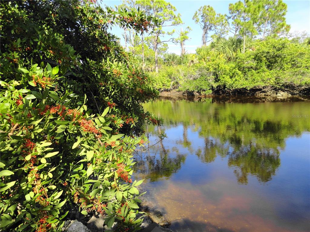 A calm, dark-water creek flows past a lush, berry-laden bush and dense forest vegetation — 2146 MCCLEOD STREET, PORT CHARLOTTE, FL