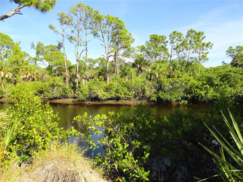A narrow, dark creek flows through a lush, green landscape with pine trees and mangroves — 2146 MCCLEOD STREET, PORT CHARLOTTE, FL