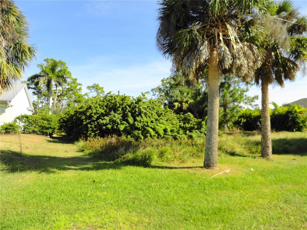 A grassy yard features two tall palm trees and dense green bushes near a house — 2146 MCCLEOD STREET, PORT CHARLOTTE, FL
