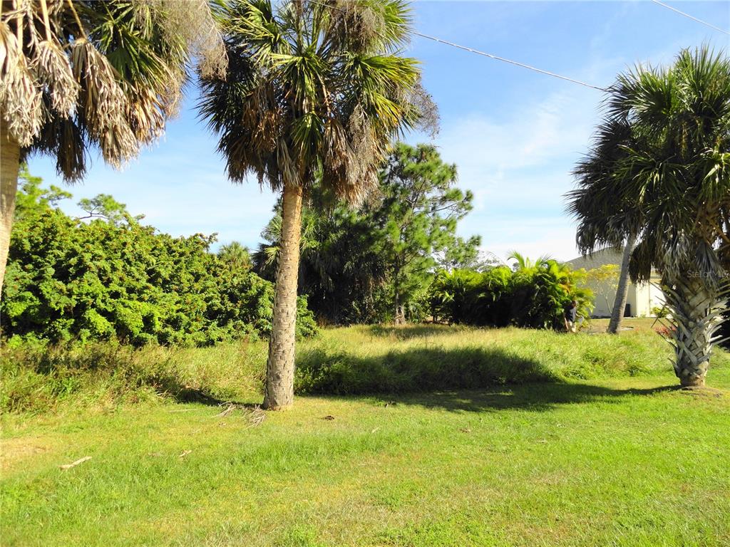 A grassy, undeveloped lot features several tall palm trees and dense surrounding vegetation — 2146 MCCLEOD STREET, PORT CHARLOTTE, FL