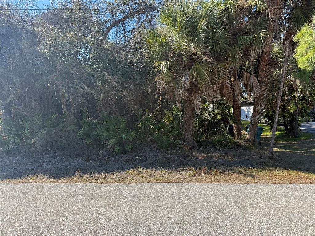 A vacant, wooded lot with palm trees and dense vegetation borders an asphalt road — 3181 JESSICA TERRACE, PORT CHARLOTTE, FL