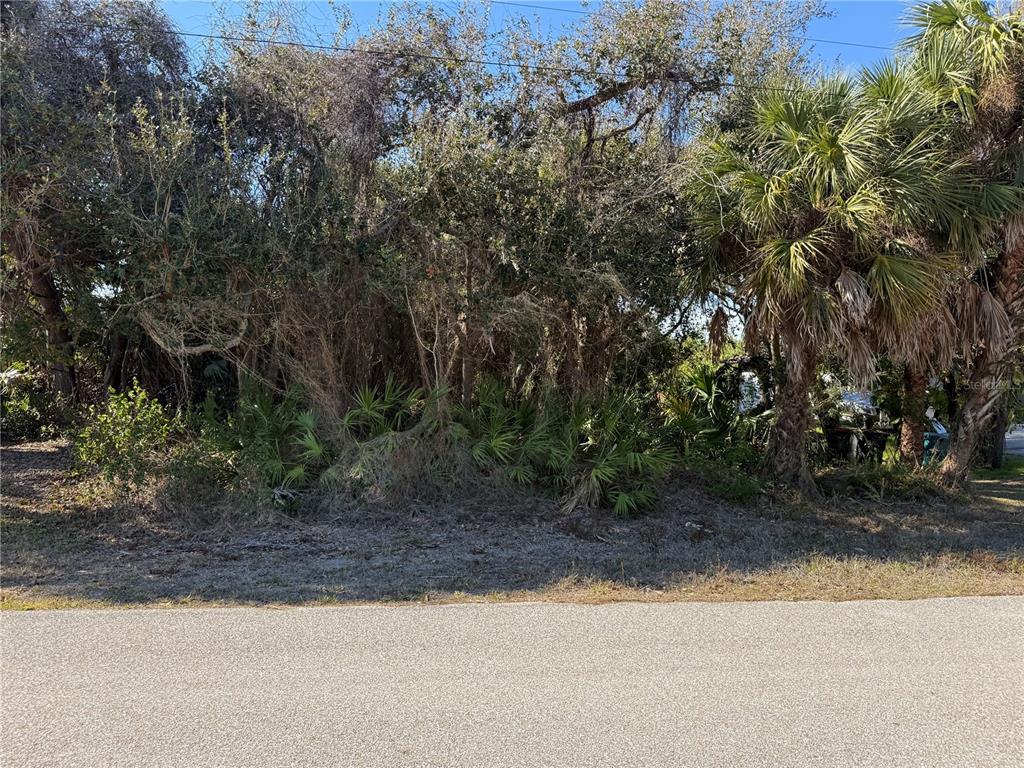 A vacant, heavily wooded residential lot is bordered by a paved road — 3181 JESSICA TERRACE, PORT CHARLOTTE, FL