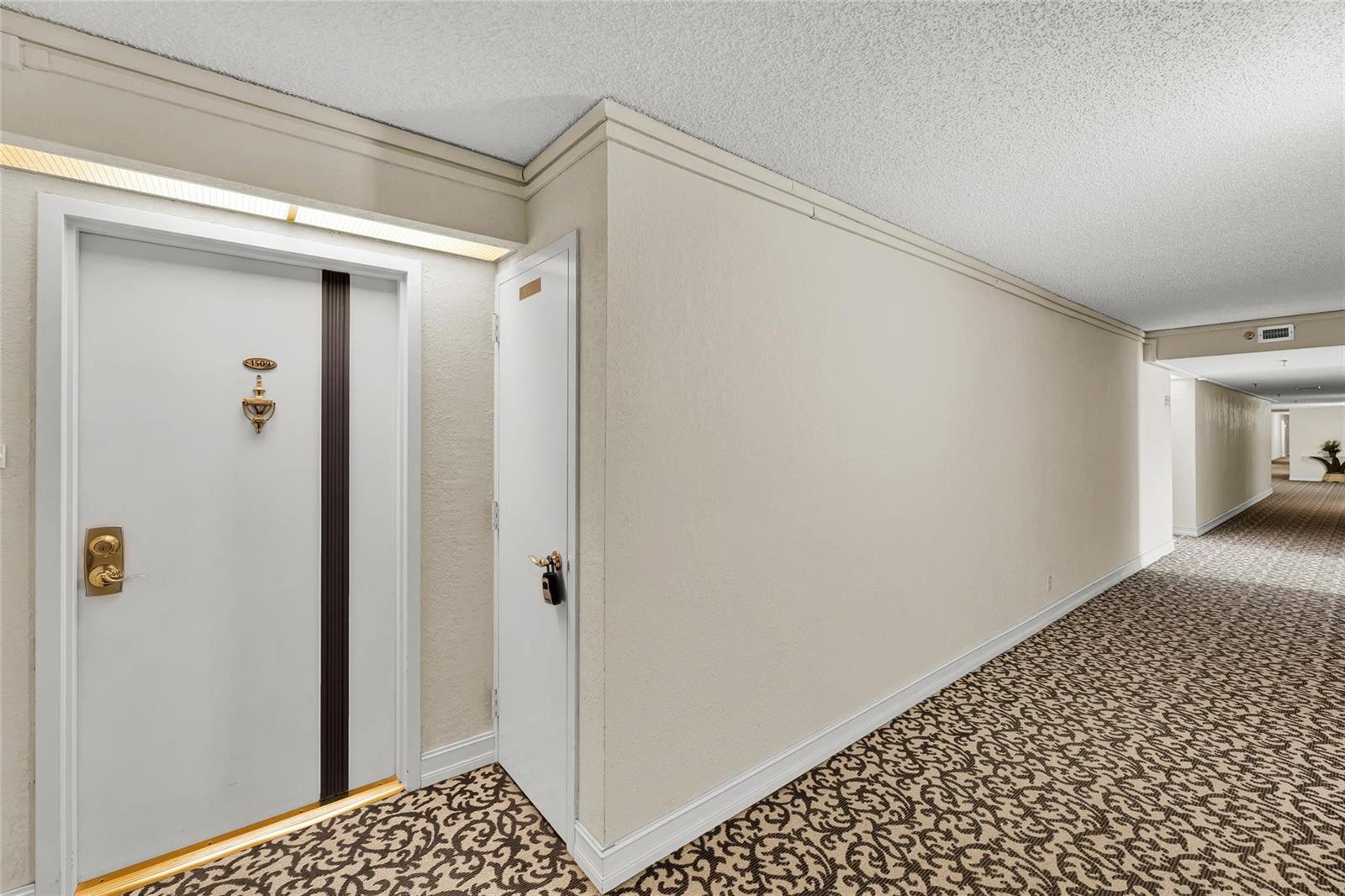 A white door with a brass knocker sits next to a utility closet in a carpeted hallway — 1010 S Ocean Boulevard # 1509, Pompano Beach FL 33062, POMPANO BEACH, FL