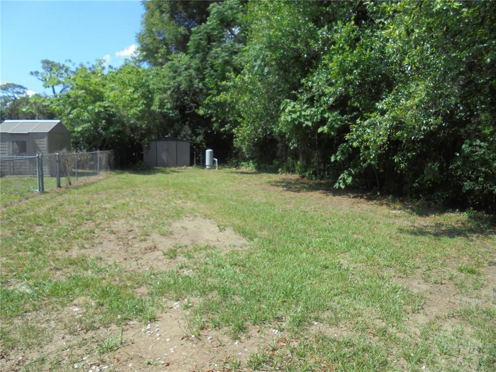 A grassy backyard features a chain-link fence, a storage shed, and dense surrounding trees — 1510 NE 55TH STREET, OCALA, FL