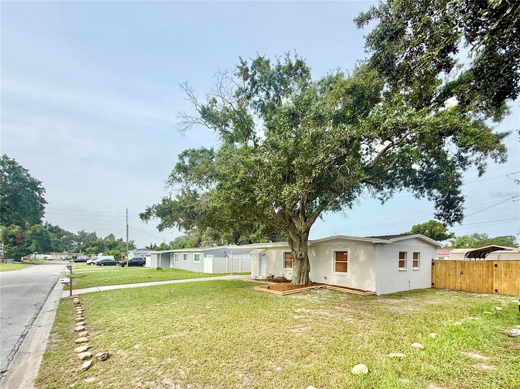 A single-story house with a carport and a large tree in the front yard — 7810 FELICE AVENUE, TAMPA, FL