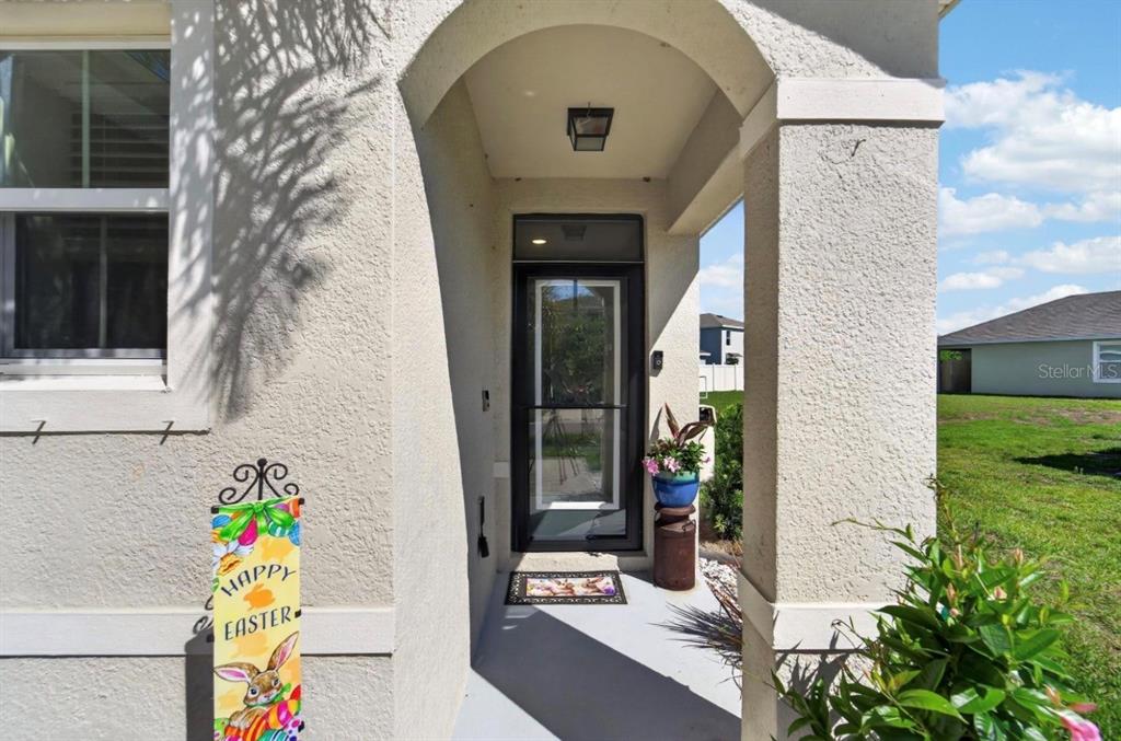 A covered entryway features a glass storm door, a concrete porch, and an Easter flag — 16829 TRITE BEND STREET, WIMAUMA, FL