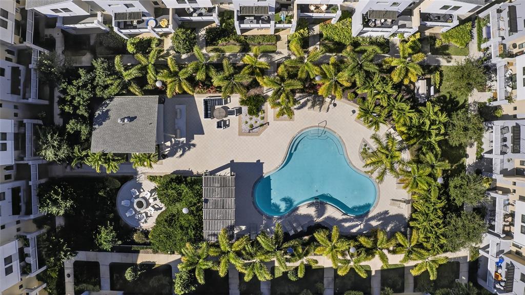 An aerial view shows a community swimming pool surrounded by palm trees and apartment buildings — 2526 13TH AVENUE N, ST PETERSBURG, FL