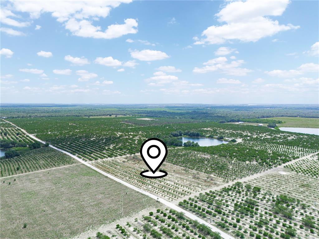 An aerial view shows a large agricultural field with rows of trees and a pond — GILBERT ROAD, LAKE WALES, FL