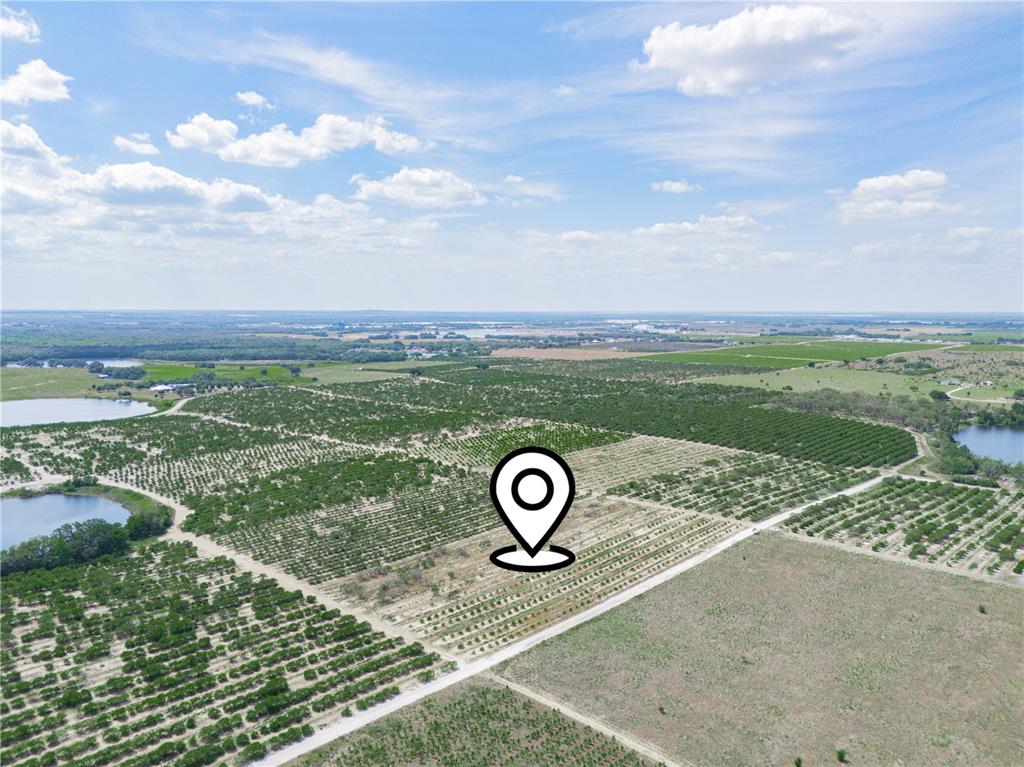 An aerial view shows a large agricultural field with rows of trees and a location pin — GILBERT ROAD, LAKE WALES, FL