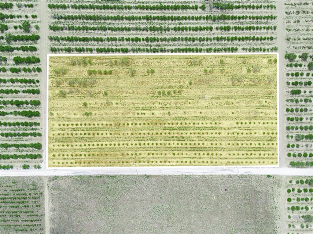 An aerial view shows a rectangular plot of agricultural land surrounded by orchard rows — GILBERT ROAD, LAKE WALES, FL