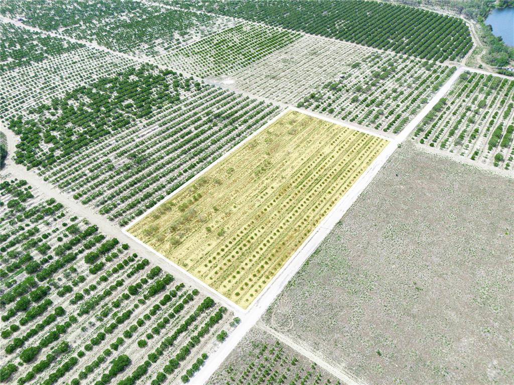 An aerial view shows a large agricultural field with rows of trees and open land — GILBERT ROAD, LAKE WALES, FL
