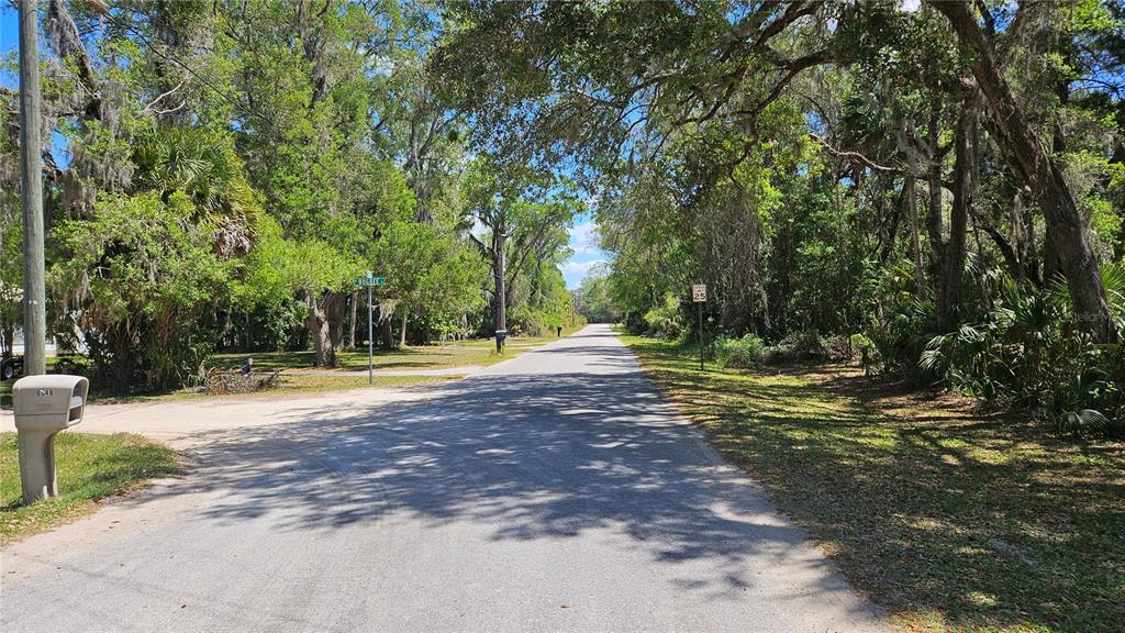 A paved road winds through a wooded residential area with mature trees and Spanish moss — 11201 W GEM STREET, CRYSTAL RIVER, FL