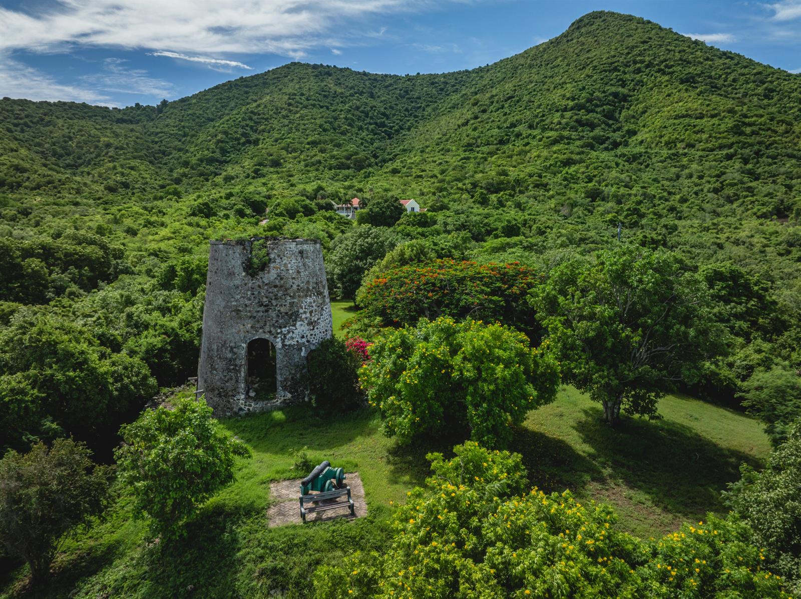 An old stone windmill stands in a lush green landscape with a cannon nearby — 104 N Cane Bay Estate N, FL