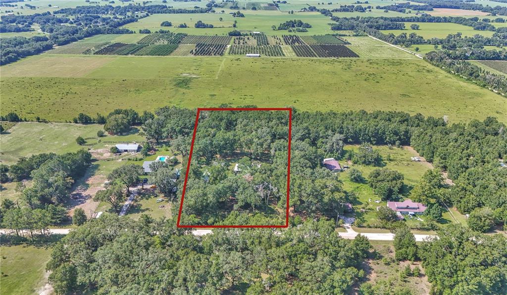 An aerial view shows a wooded residential lot outlined in red surrounded by rural land — 17690 SE 66 PLACE, MORRISTON, FL