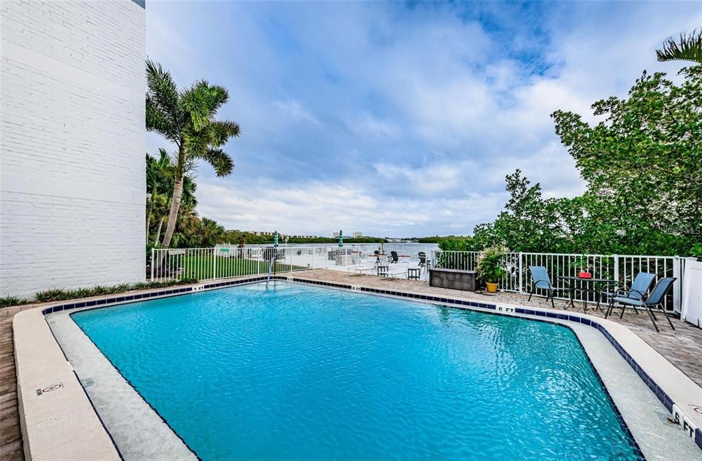 A swimming pool sits on a patio overlooking a bay with palm trees and vegetation — 1859 SHORE DRIVE S UNIT 107, SOUTH PASADENA, FL