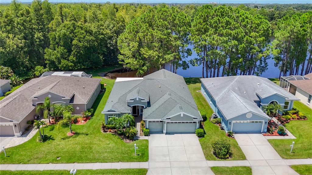 1535 MORNING ROSE PLACE, TRINITY, FL — photo 5 of 30