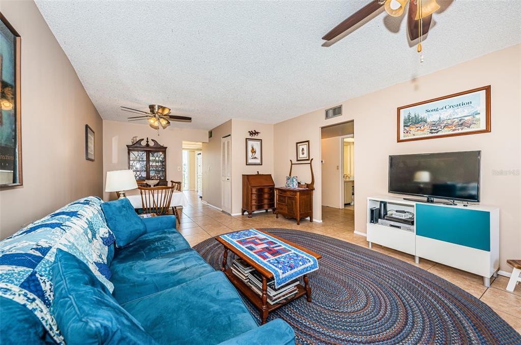 A living room features a blue sofa, a round rug, and a television on a stand — 4915 BAY STREET NE UNIT 126, ST PETERSBURG, FL