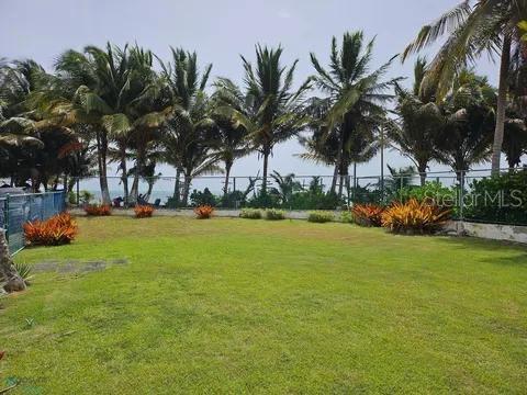 A grassy yard features palm trees and a fence overlooking the ocean in the distance — Las Picuas Beach BO. ZORZAL ORCHARD UNIT 6, RIO GRANDE, PR