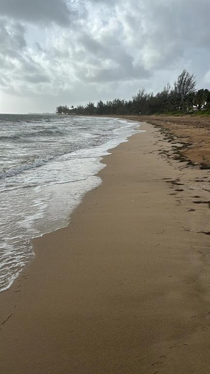 A sandy beach stretches along the coastline under a cloudy sky with trees in distance — Las Picuas Beach BO. ZORZAL ORCHARD UNIT 6, RIO GRANDE, PR