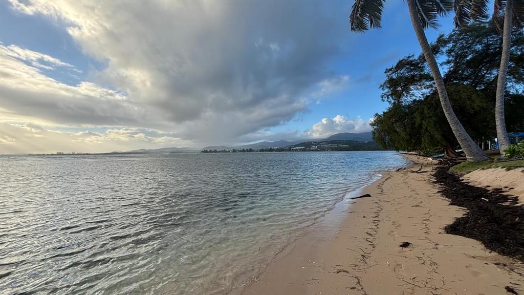 A sandy beach with palm trees overlooks a calm bay under a cloudy sky — Las Picuas Beach BO. ZORZAL ORCHARD UNIT 6, RIO GRANDE, PR
