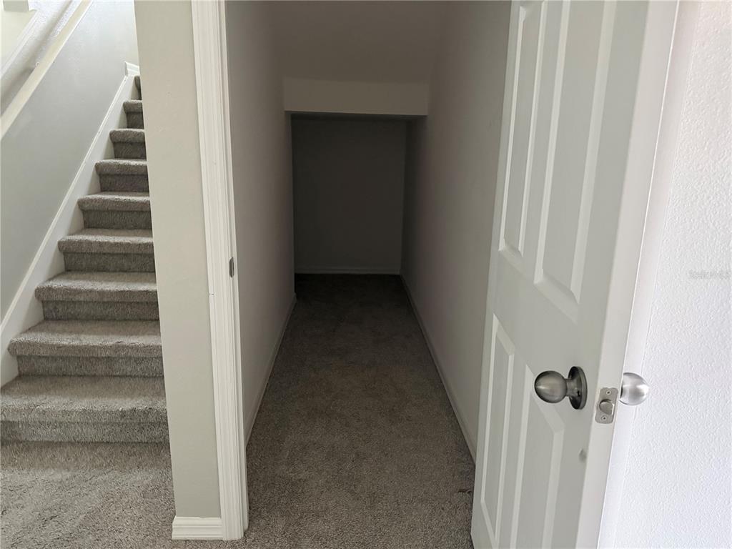 A carpeted storage closet sits beneath a staircase with gray carpeted steps — 911 AVENAL LANE, DAVENPORT, FL
