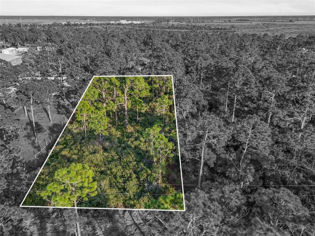 An aerial view shows a rectangular plot of land marked by white lines amidst trees — 7123 SWEDEN BOULEVARD, PUNTA GORDA, FL
