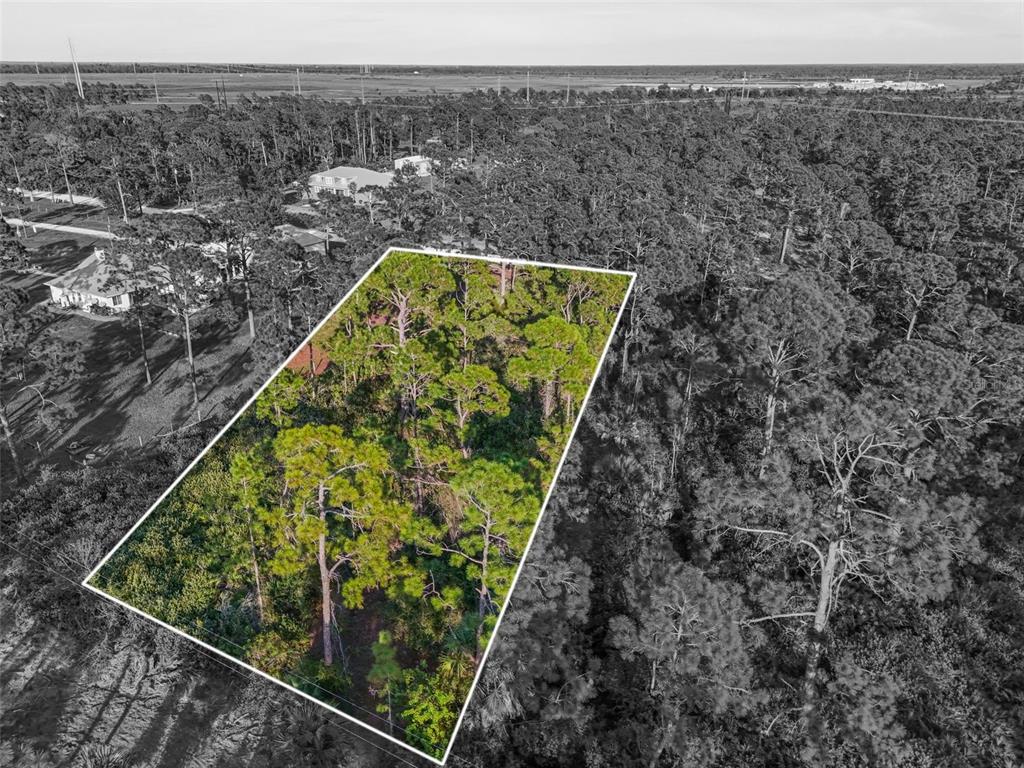 An aerial view shows a rectangular, wooded plot of land outlined in white — 7123 SWEDEN BOULEVARD, PUNTA GORDA, FL