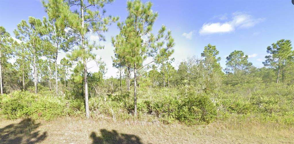 A view of a wooded lot featuring pine trees and low-lying scrub vegetation — 404 ALLAMANDA DRIVE, INDIAN LAKE ESTATES, FL