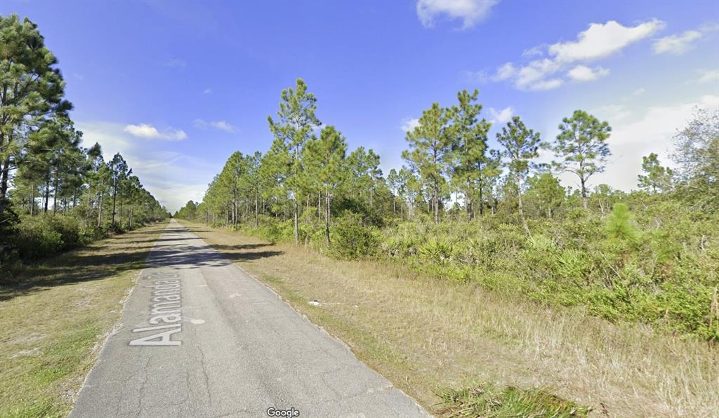 A paved road stretches through a rural landscape with pine trees and low-lying vegetation — 404 ALLAMANDA DRIVE, INDIAN LAKE ESTATES, FL